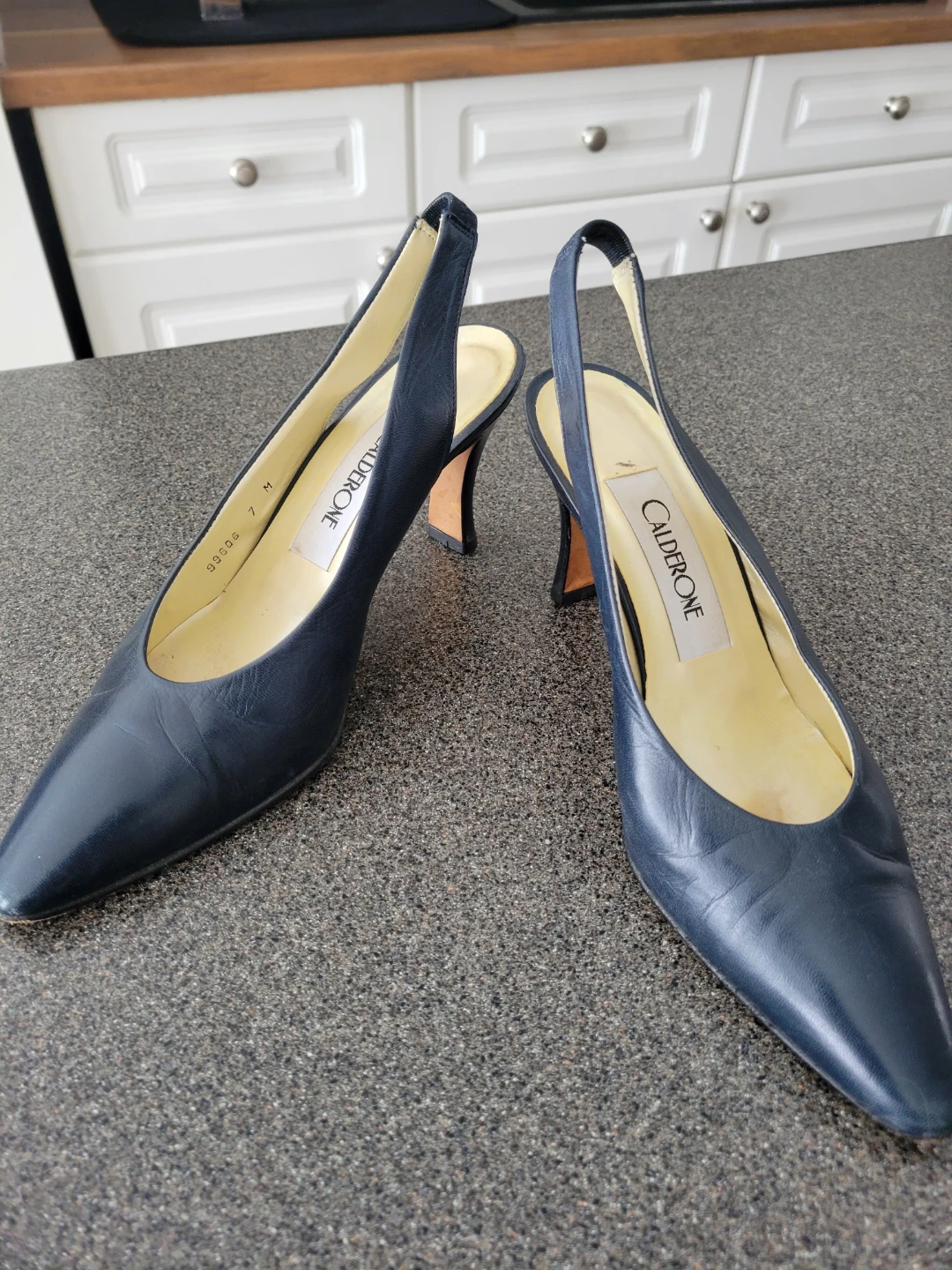 Calderon Navy Leather Shoes