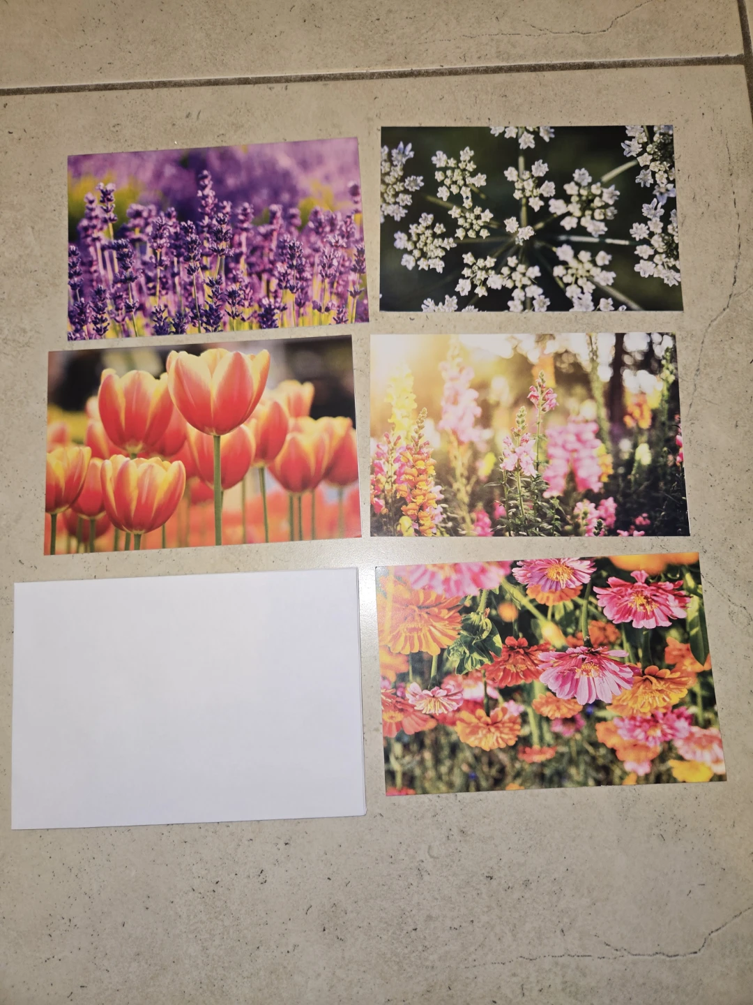 Flower Greeting cards (blank inside) - photo 3