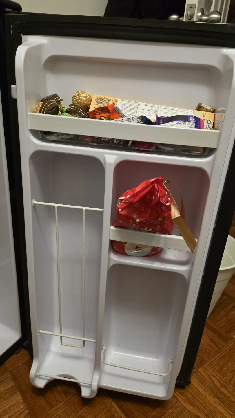 Danby Designer Compact Refrigerator - photo 5