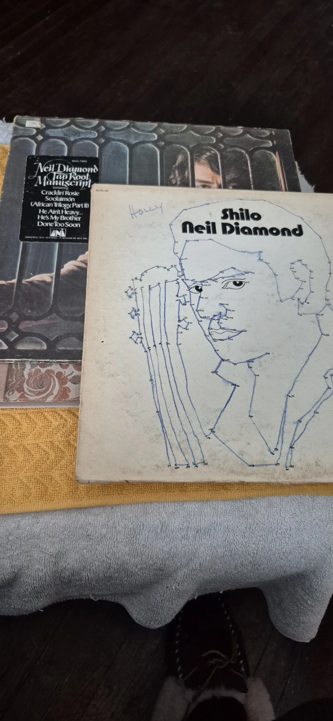 Neil Diamond, Gordon Lightfoot, Barry Manilow Vinyl Records - photo 4