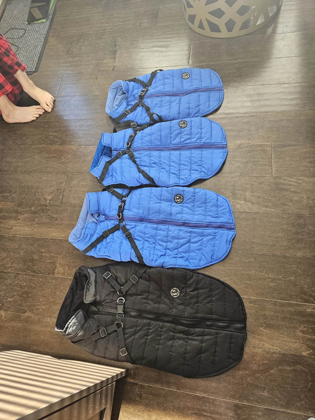 Winter jacket for dog Size in pictures (New never used)