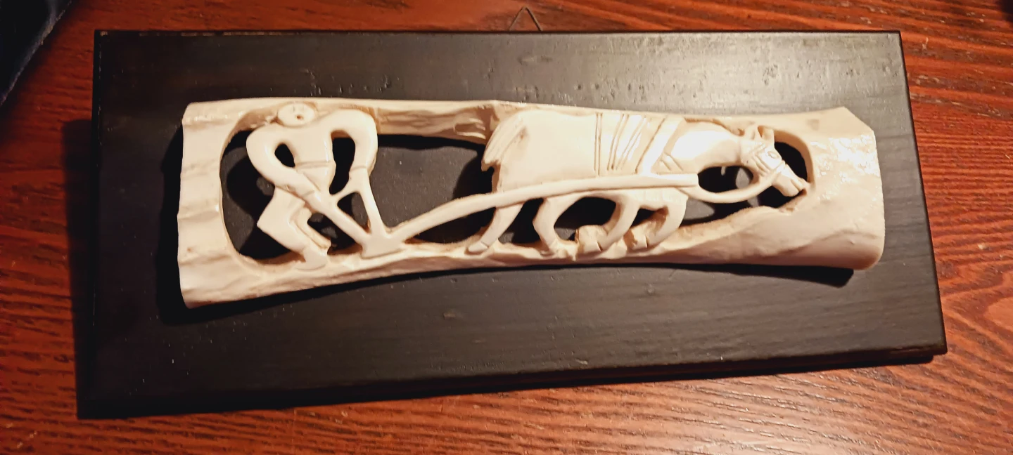 Unique Vintage Carved Bone Wall Art - photo 4