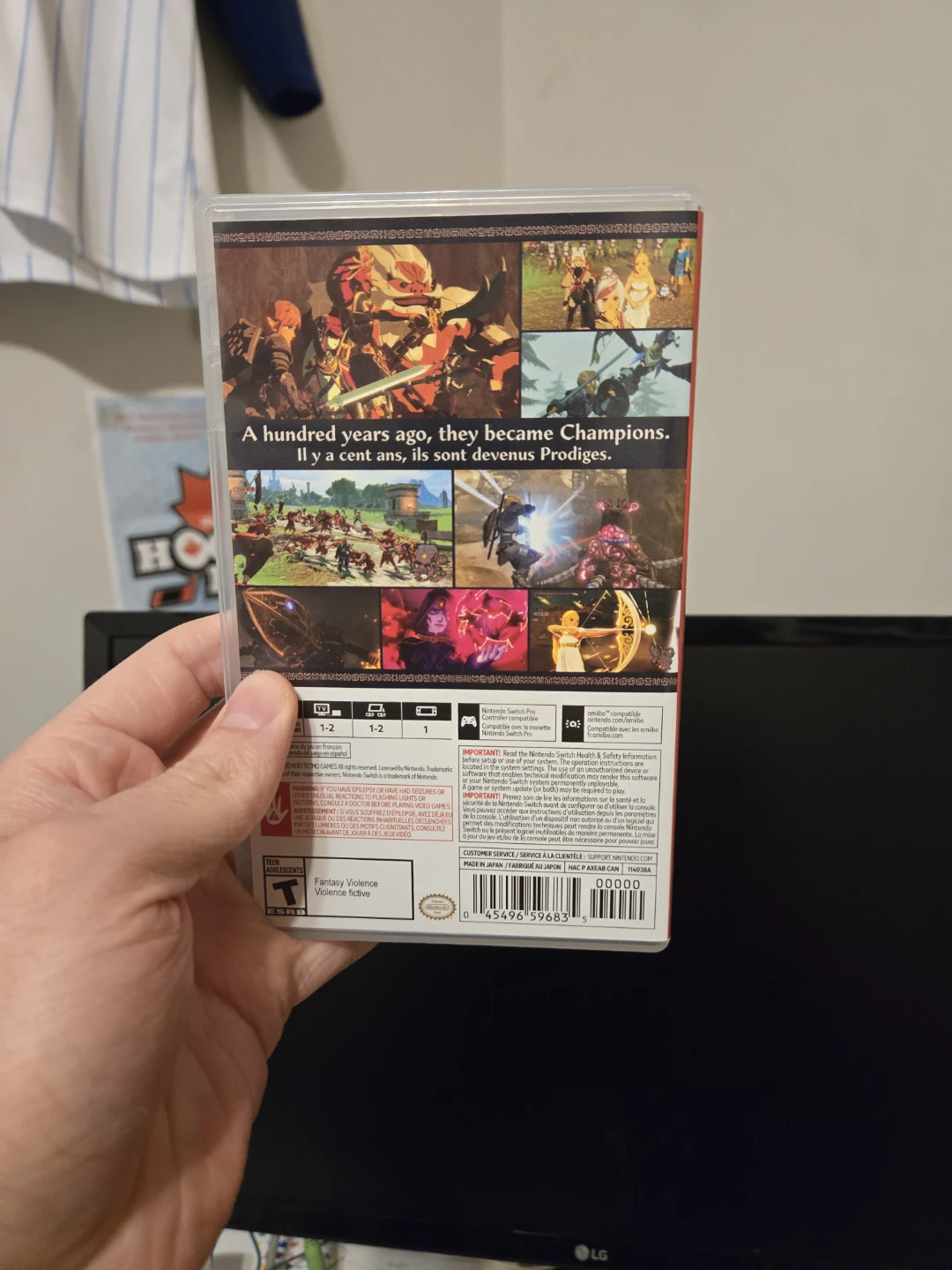 Hyrule Warriors: Age of Calamity - photo 2