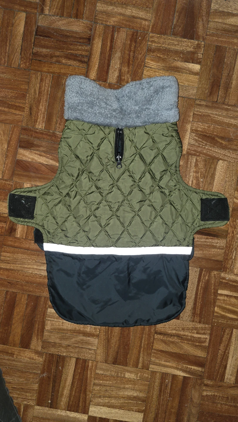 Quilted Dog Winter Coat - Green