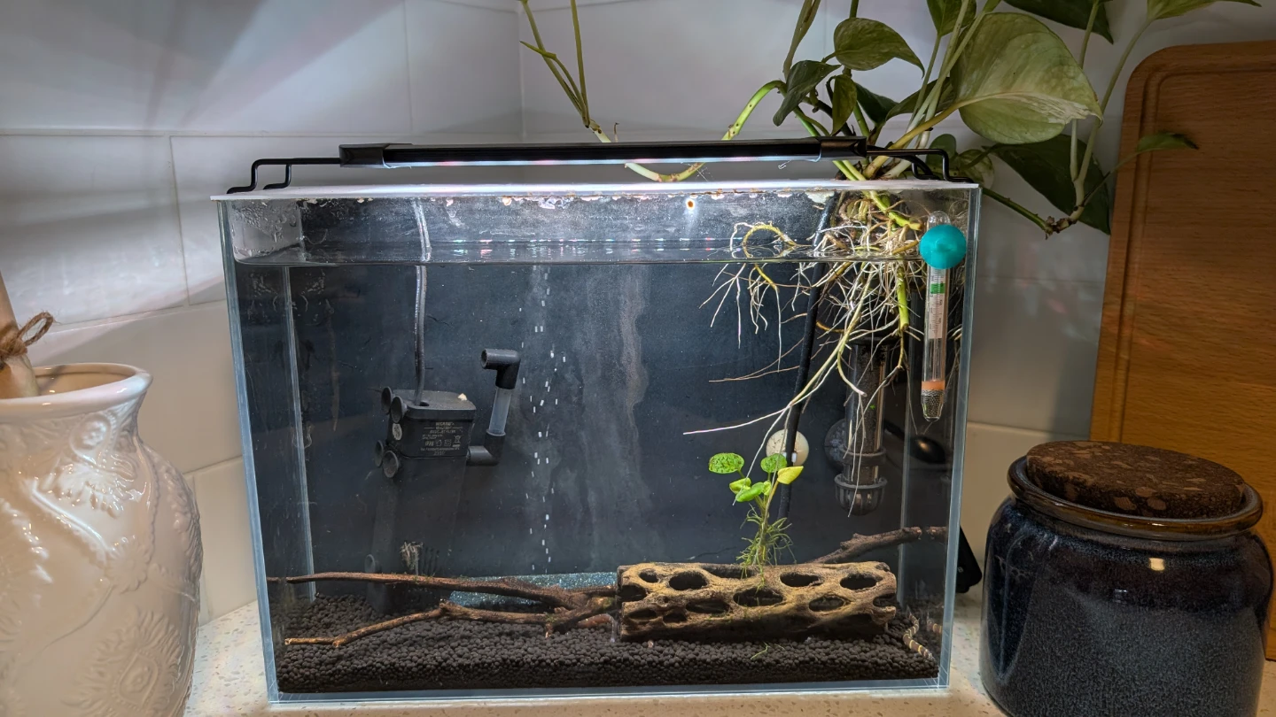 Aquarium with Filter and Heater