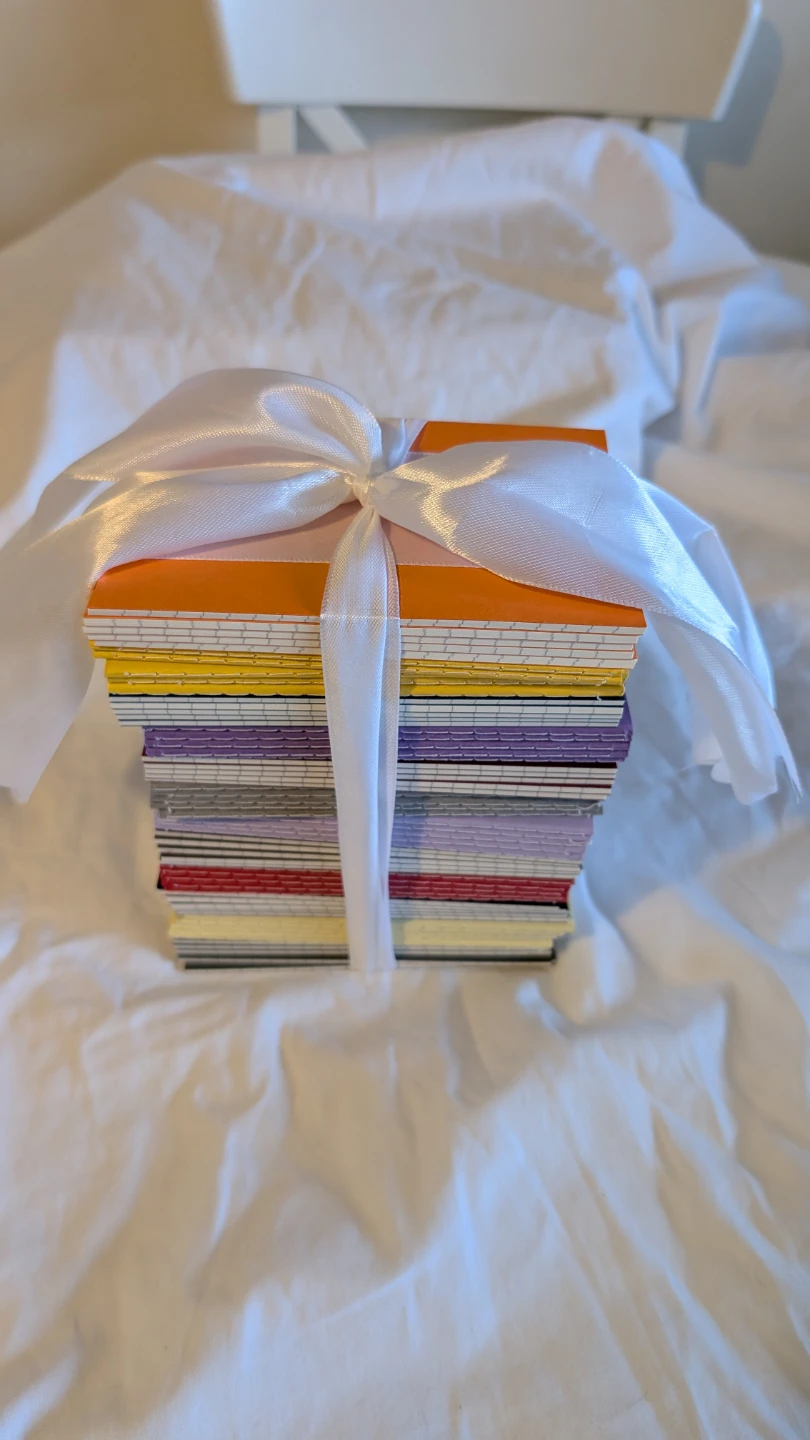 Set of 10 Small Notebooks