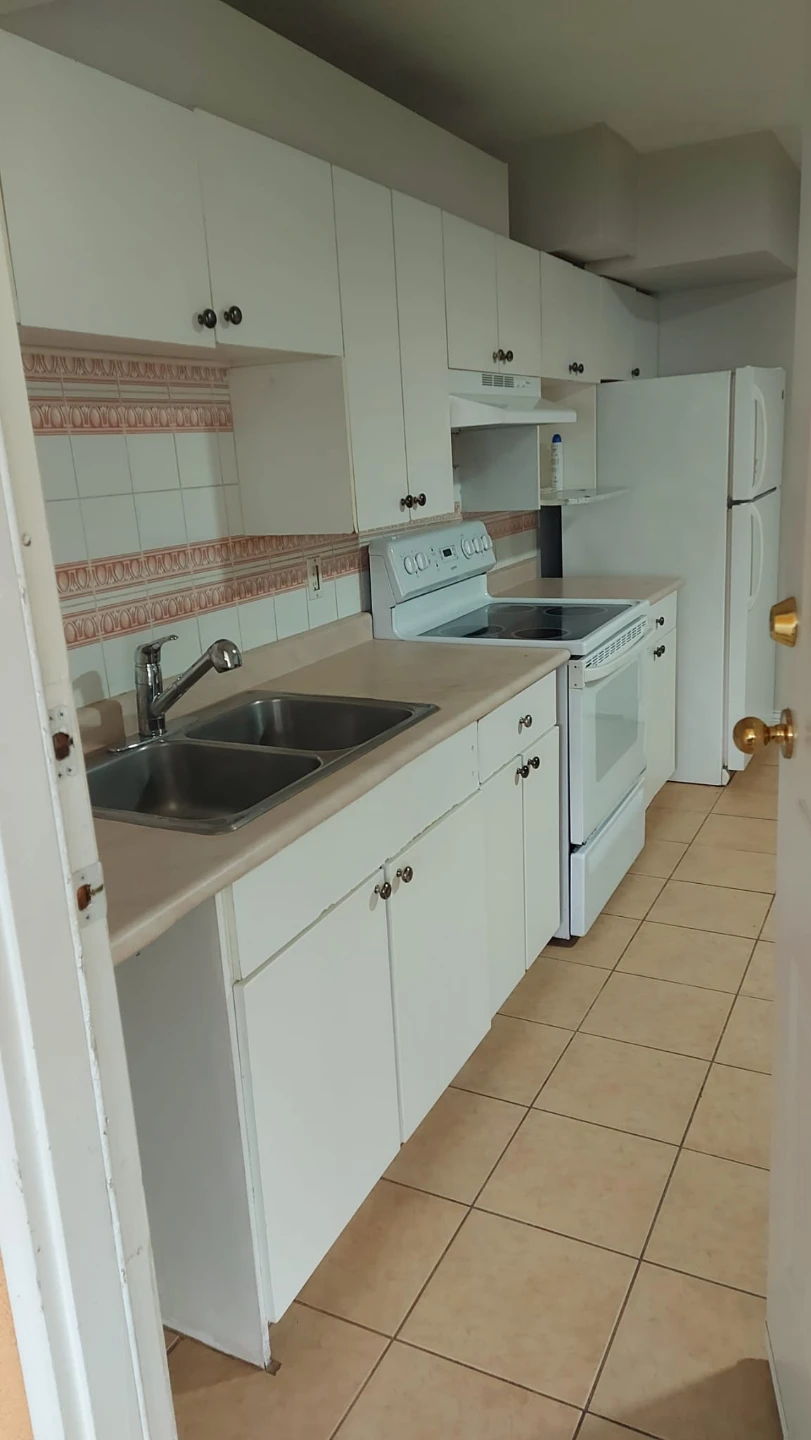 2 Bd above ground basement suite available now