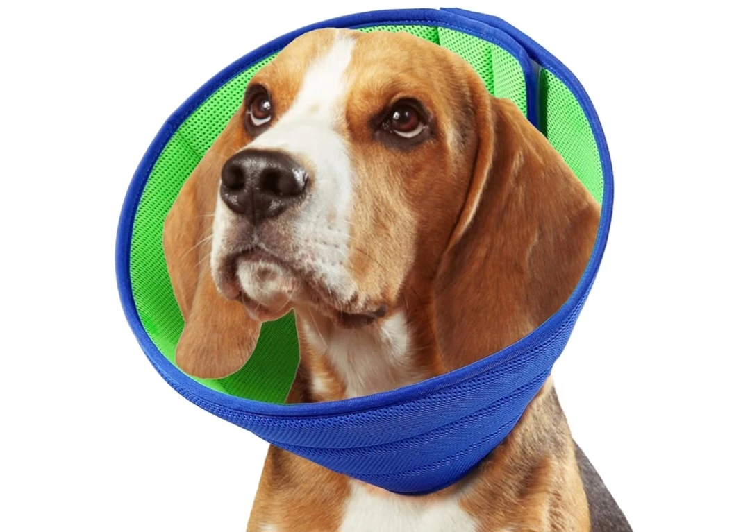 Dog Cone Collar - Size XL - photo 5