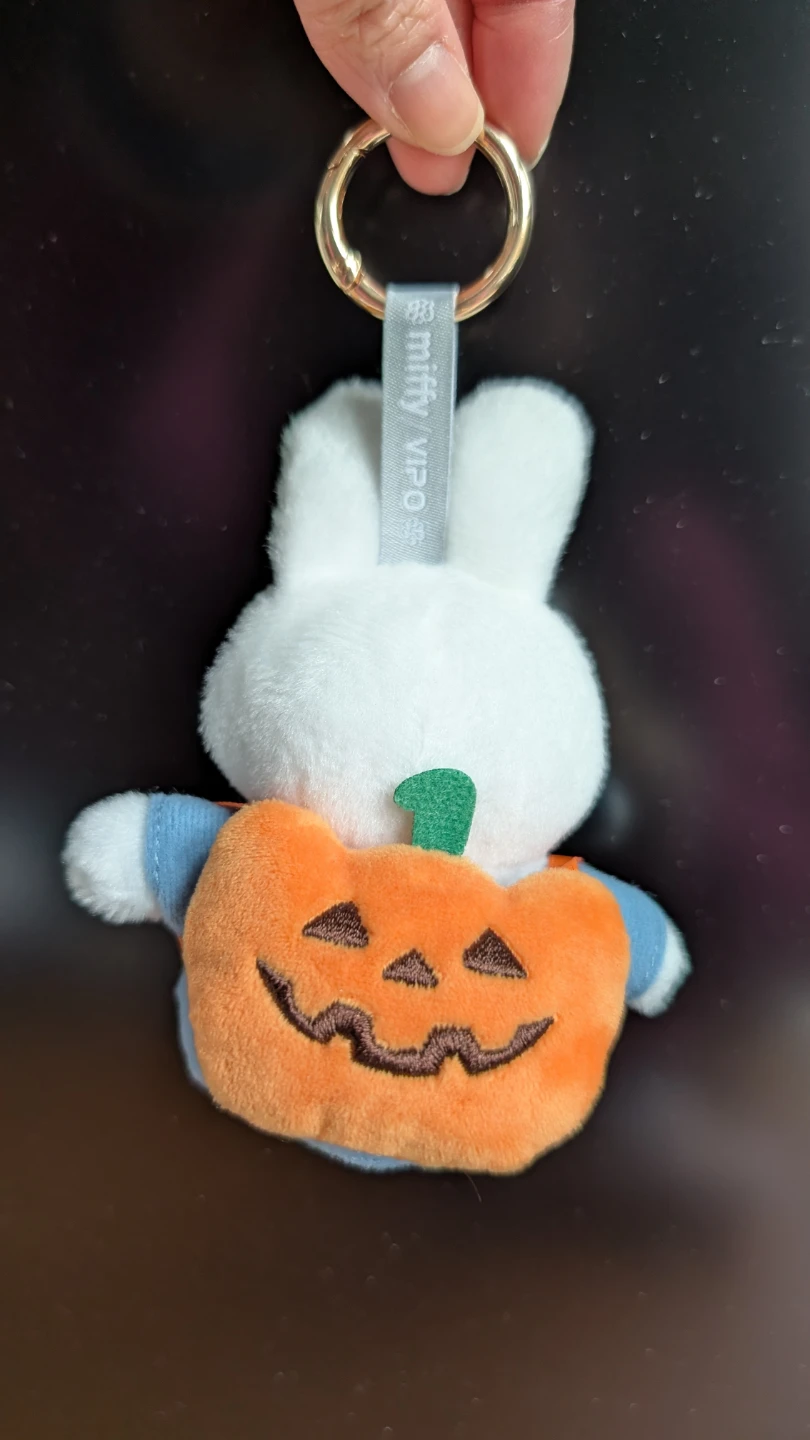 VIPO x Miffy Halloween Blind Box (Miffy with Pumpkin Backpack) - photo 2