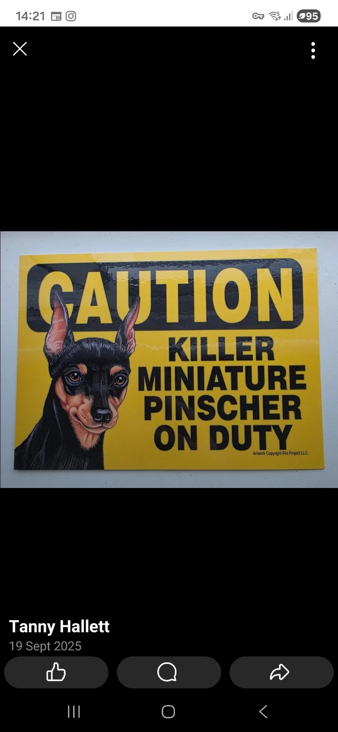 Caution Killer Miniature Pinscher Sign