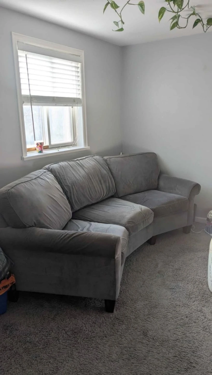 grey velvet couch