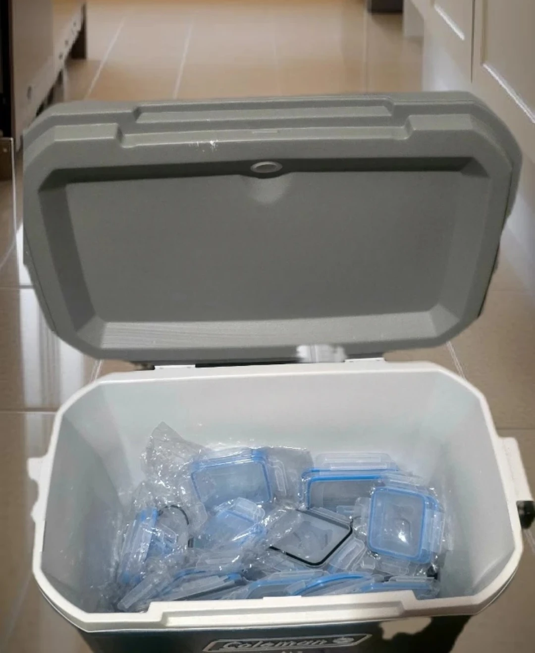 🥕Coleman 316 Series 52 QT Cooler🥕🥕 - photo 4