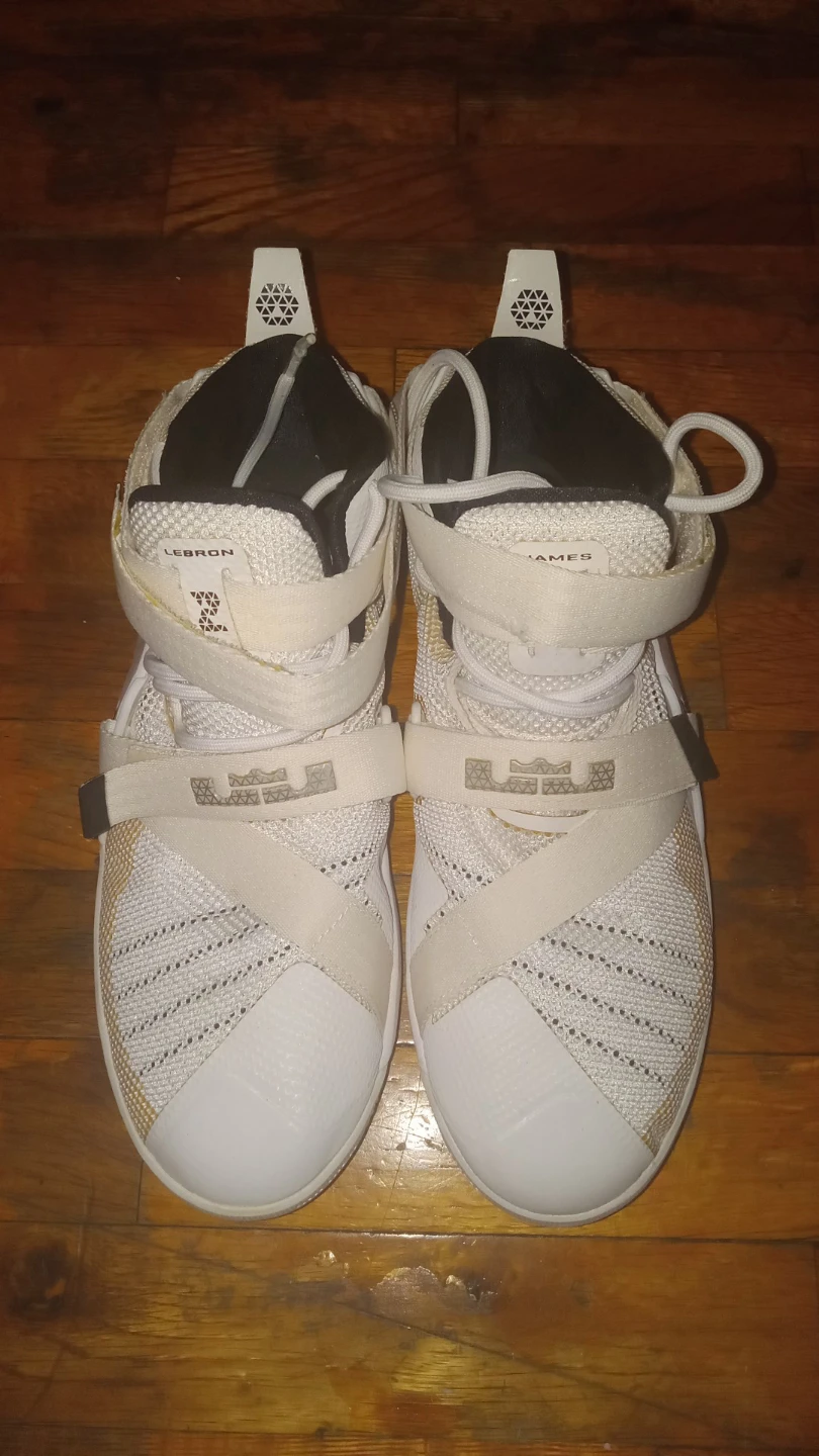 Lebron Sneakers