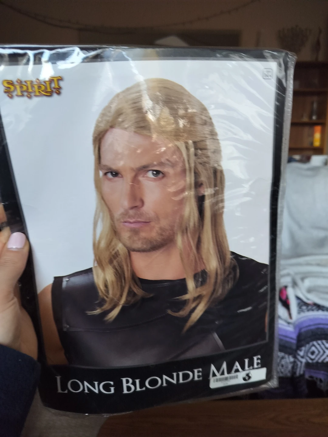 Spirit Long Blonde Male Wig