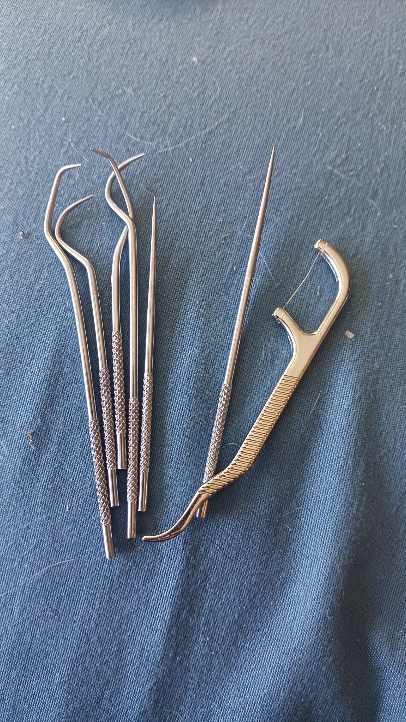 Metal Dental Floss Holder and Pick Set with Case