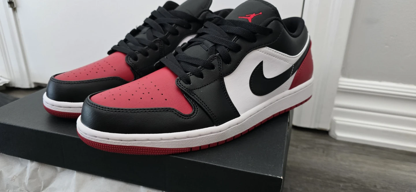 Air Jordan 1 Low SE Shoes size 11