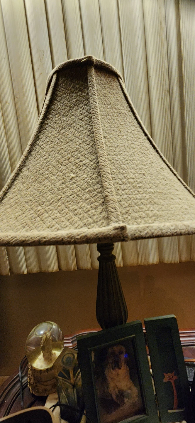 Table Lamp with Textured Shade🥕