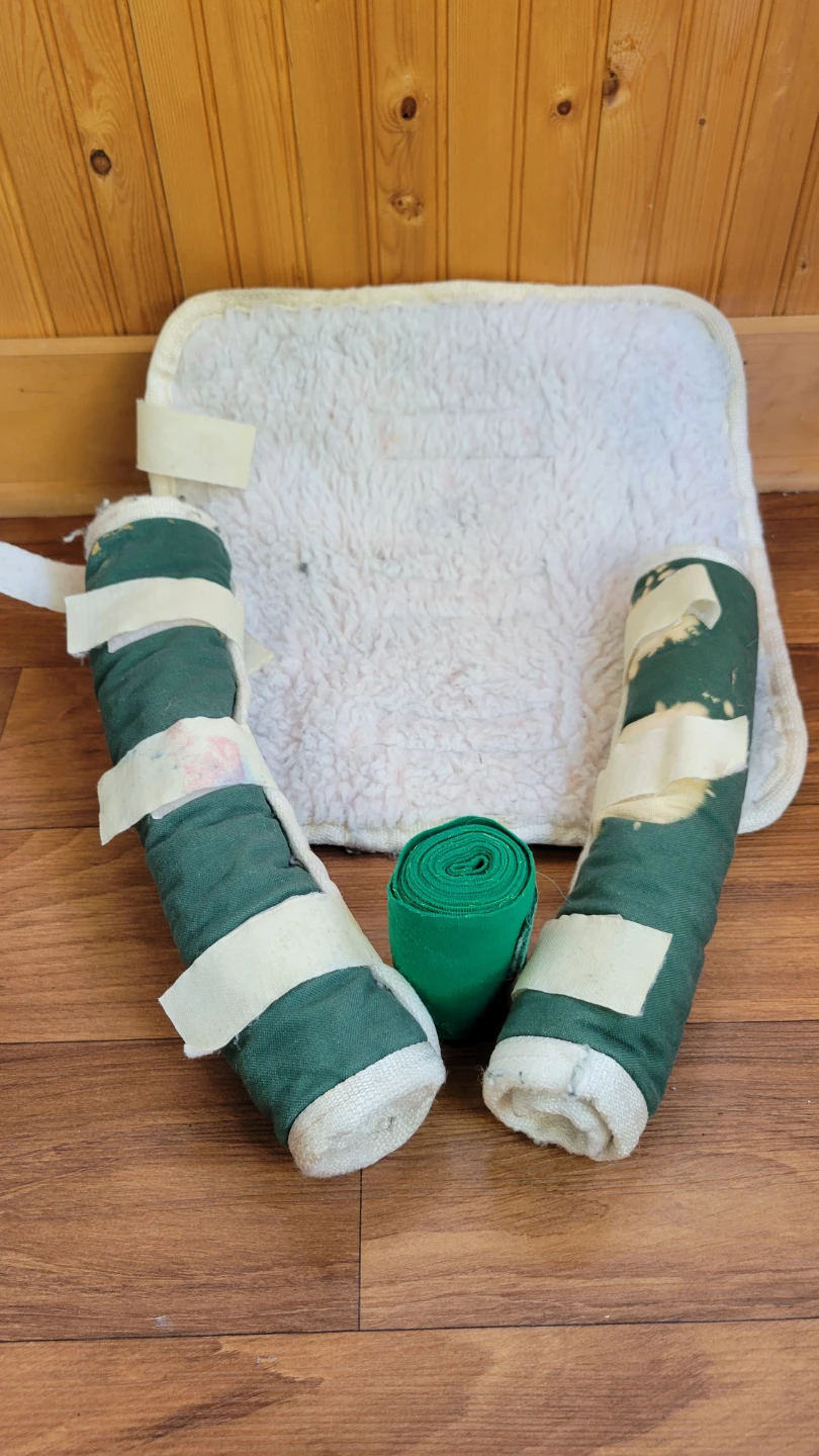 Horse Shipping Boots - Green