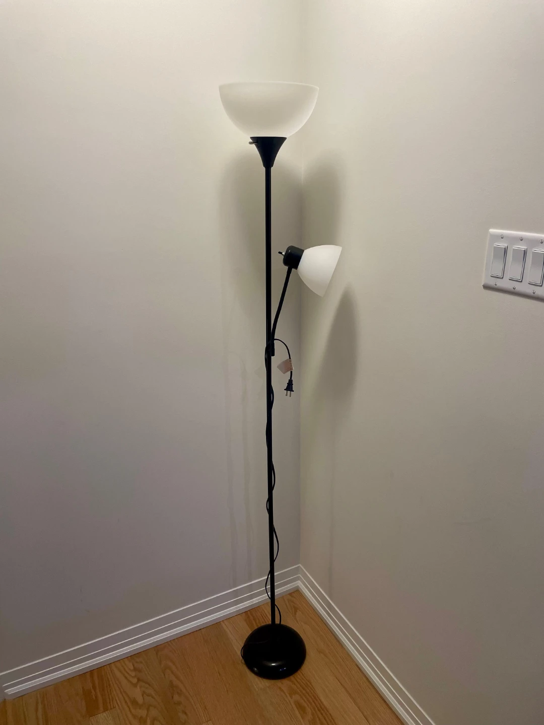 Floor Lamp with Reading Light