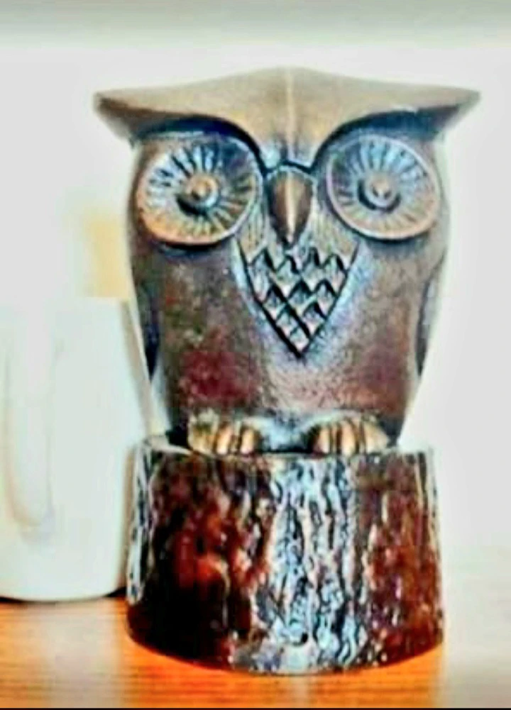 Unique Tall Bronze Owl San Pacific International - photo 5