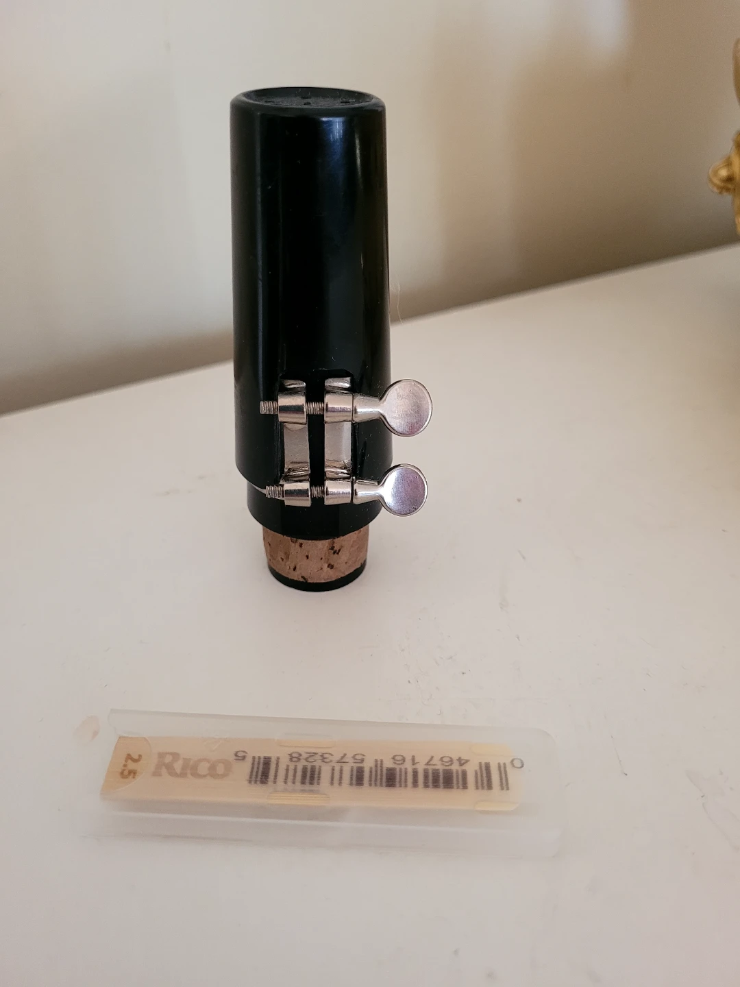 Saxophone Mouthpiece with Rico Reeds🥕 freecylle