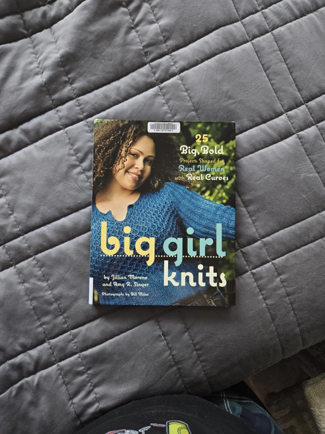 Big Girl Knits: 25 Projects Shaped for Real Women - photo 2