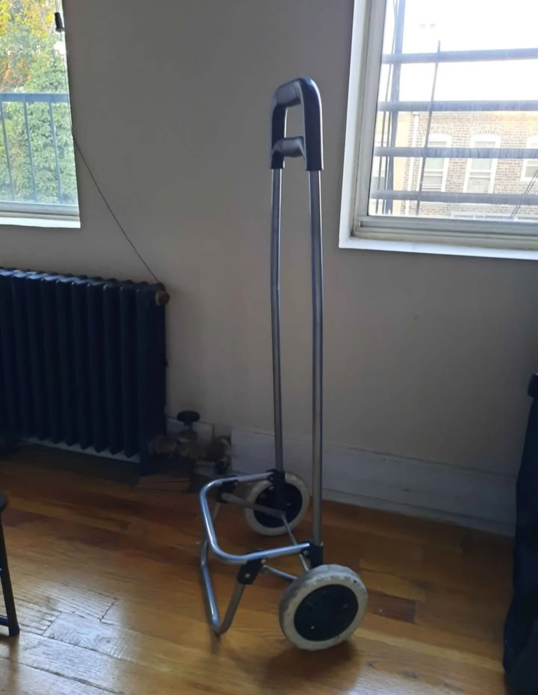 🥕 Hand Truck 🥕