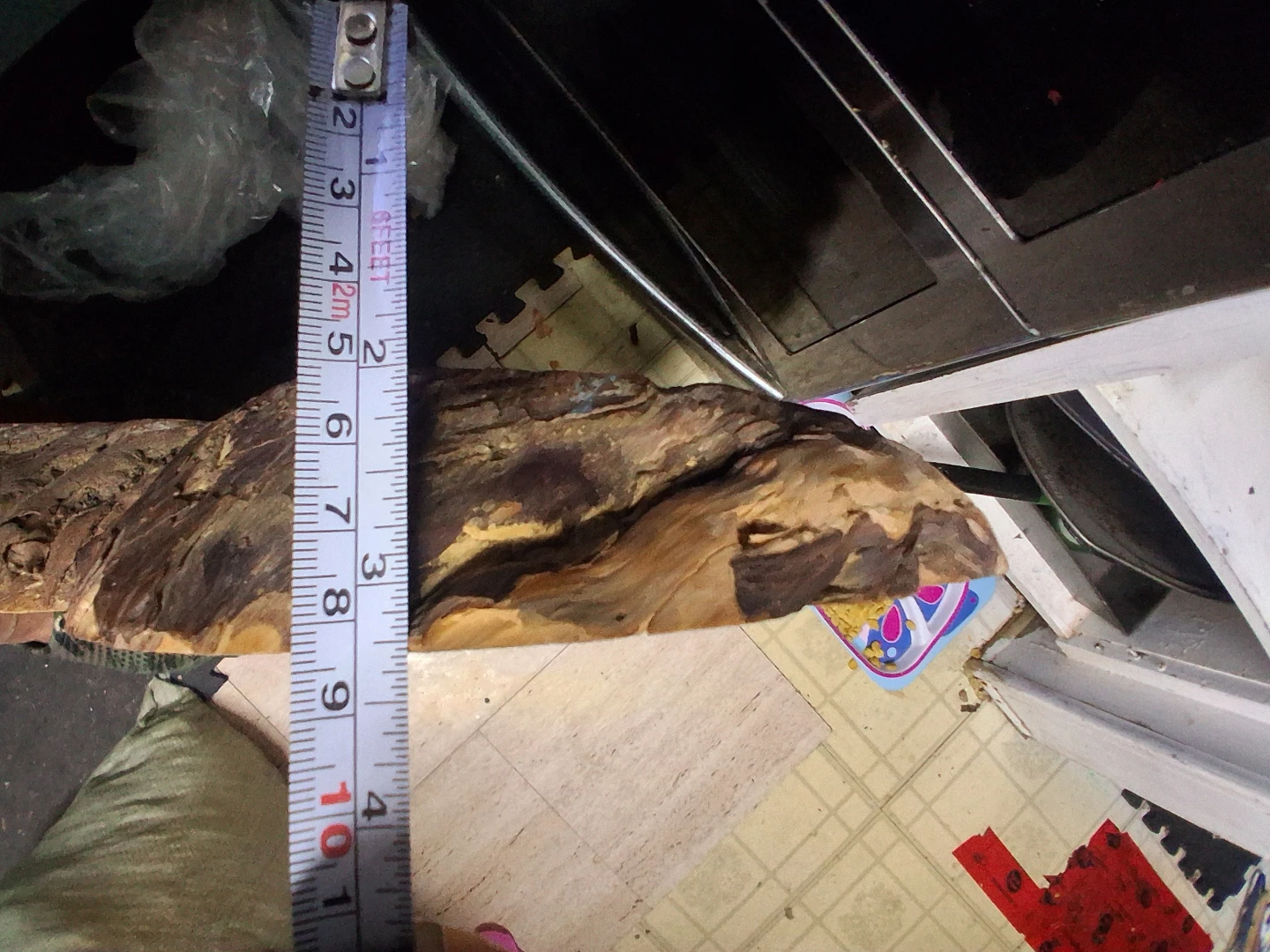 Live Edge Birds Eye Maple Burl. - photo 3