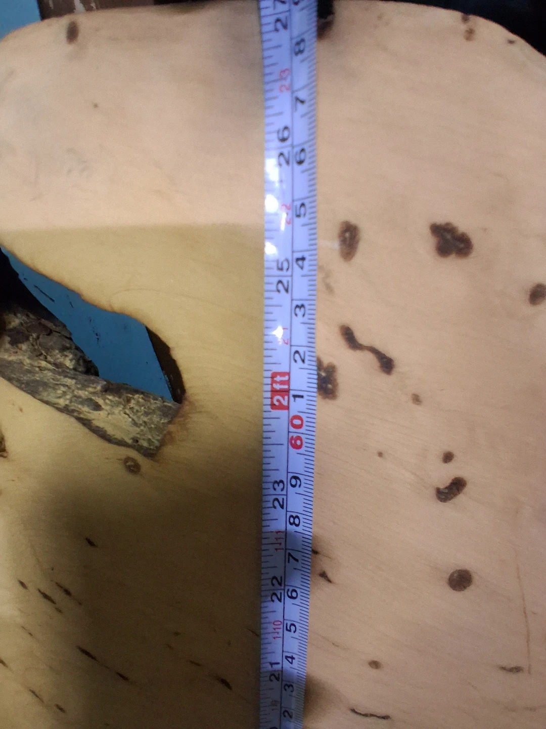 Live Edge Birds Eye Maple Burl. - photo 4