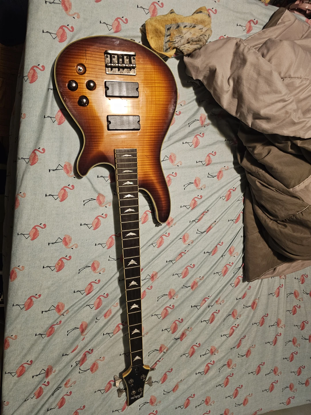 Schecter Electric Guitar