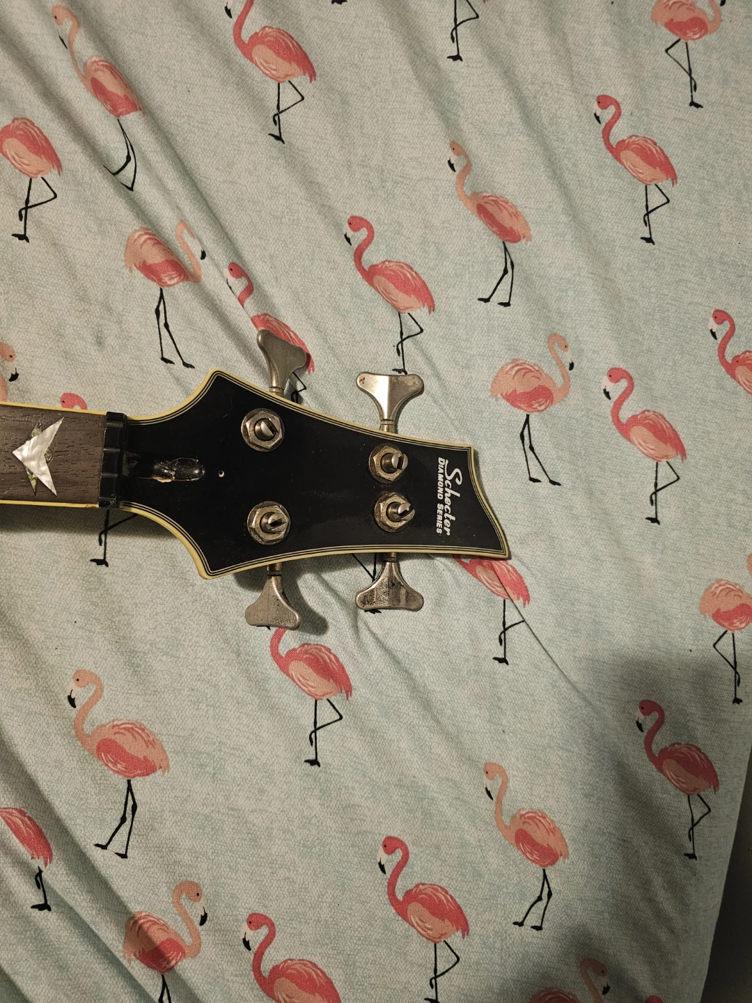Schecter Electric Guitar - photo 2