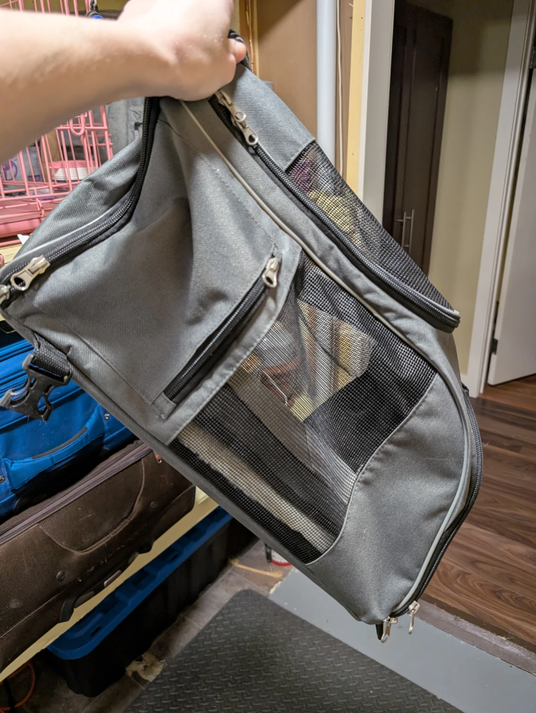 Pet Carrier- Never Used! - photo 2