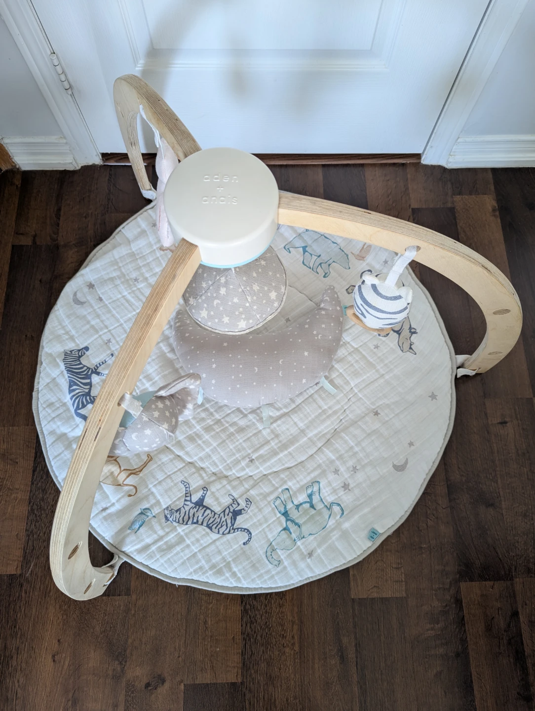 aden + anais Activity Gym
