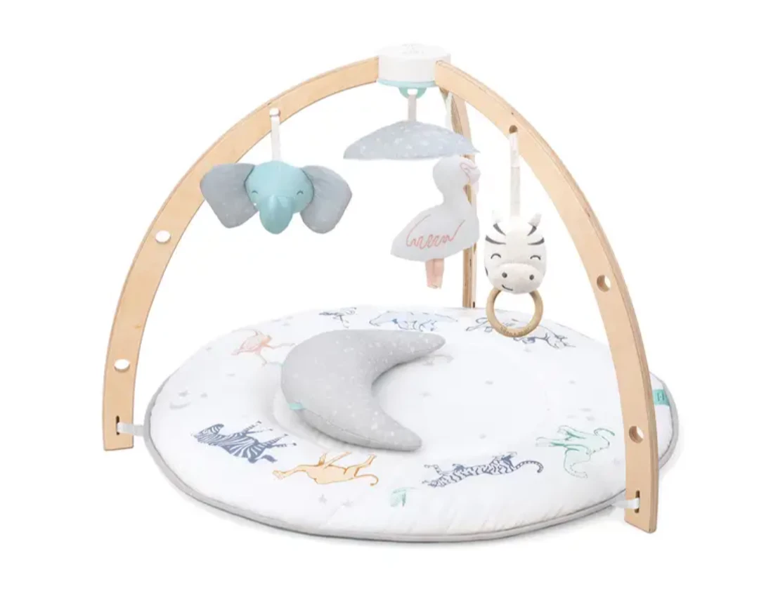 aden + anais Activity Gym - photo 3