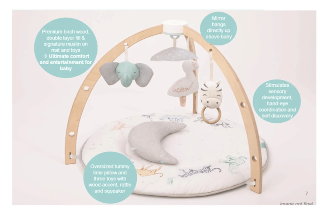 aden + anais Activity Gym - photo 5