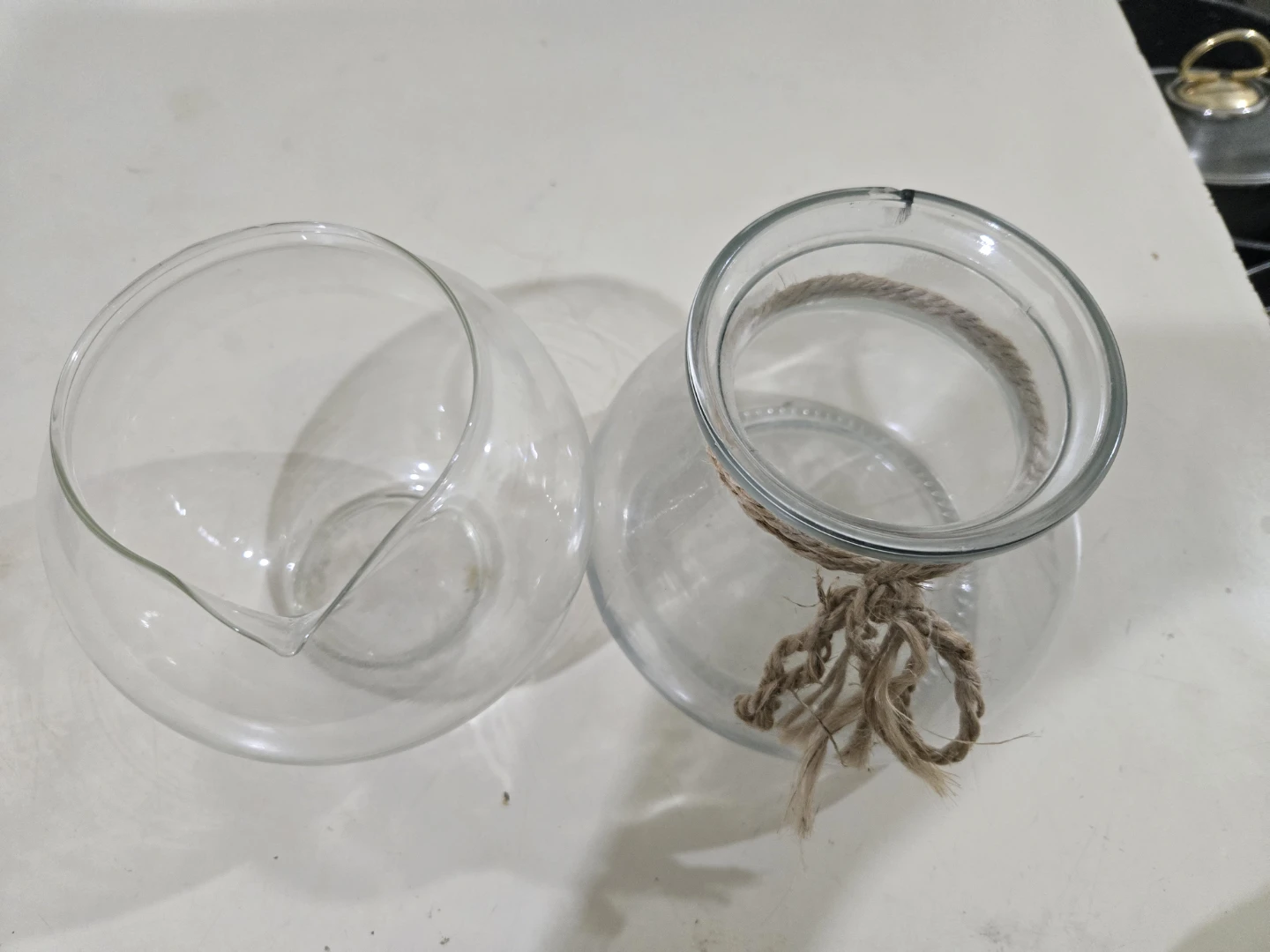 Glass Terrarium Vases - Set of 2