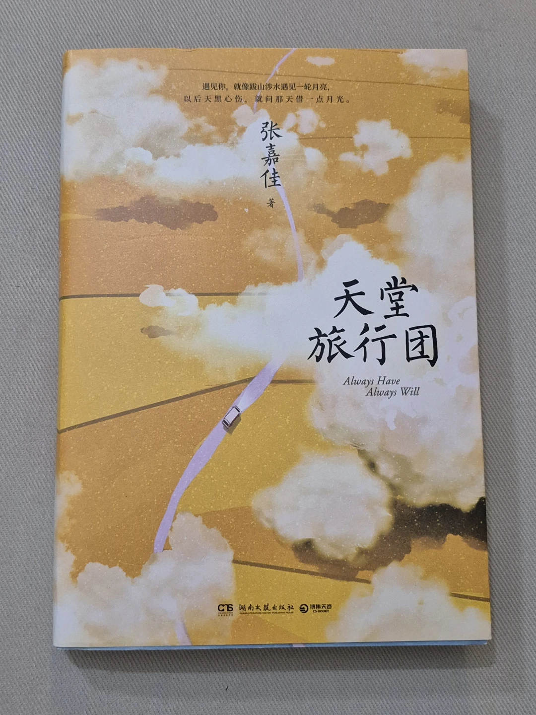 Chinese Book 天堂旅行团 by Zhang Jiajia Book