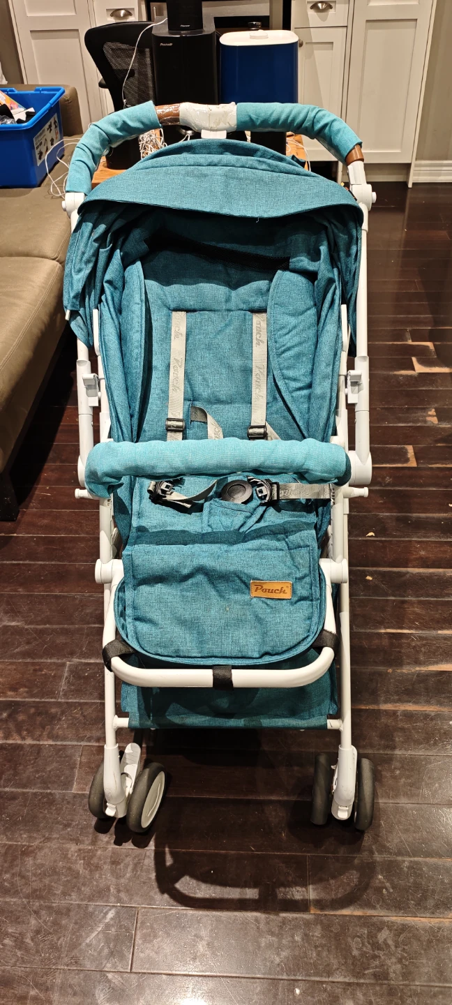 Pouch Teal Lightweight Stroller - photo 3