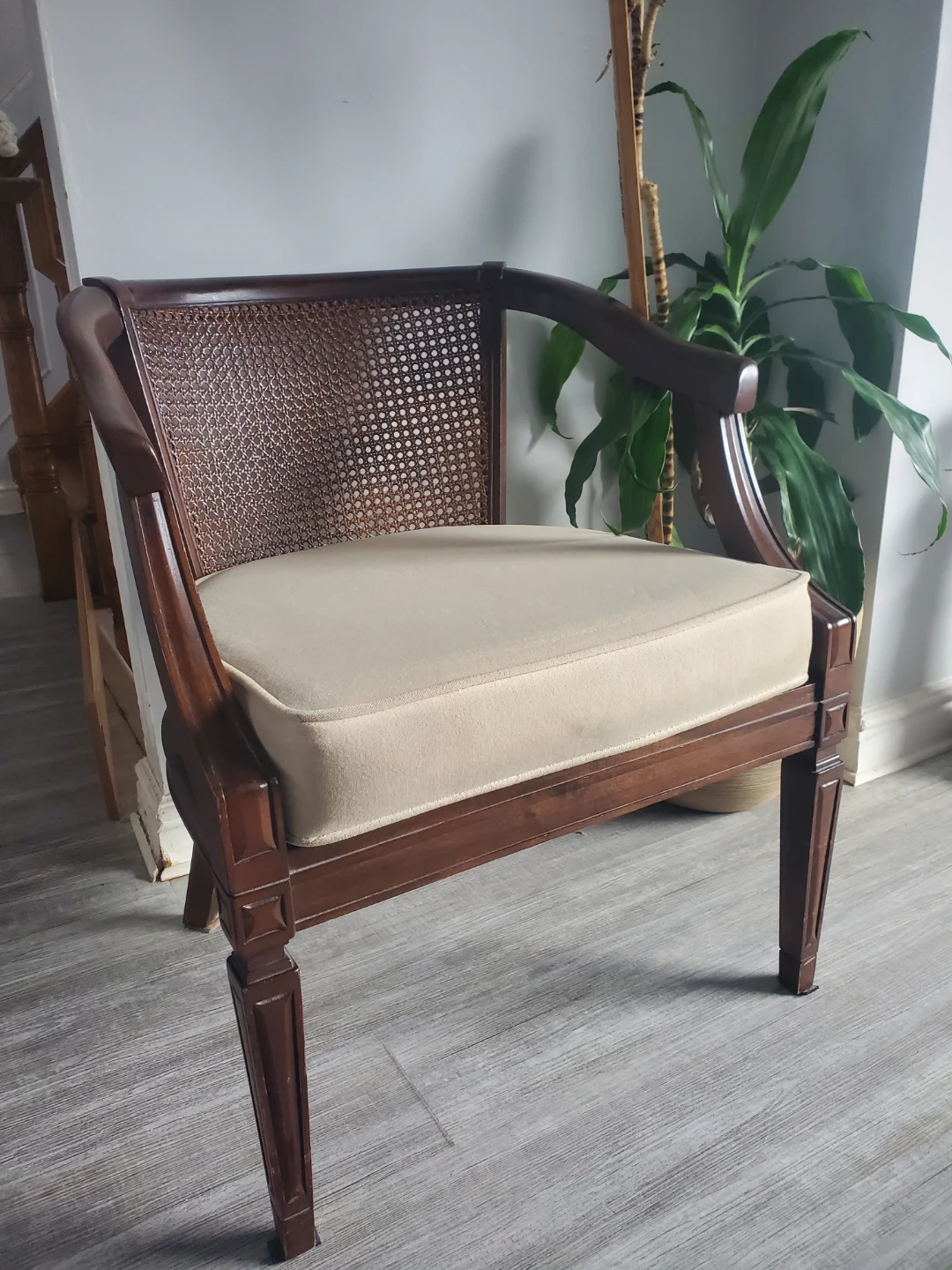 Cane Back Accent Chair