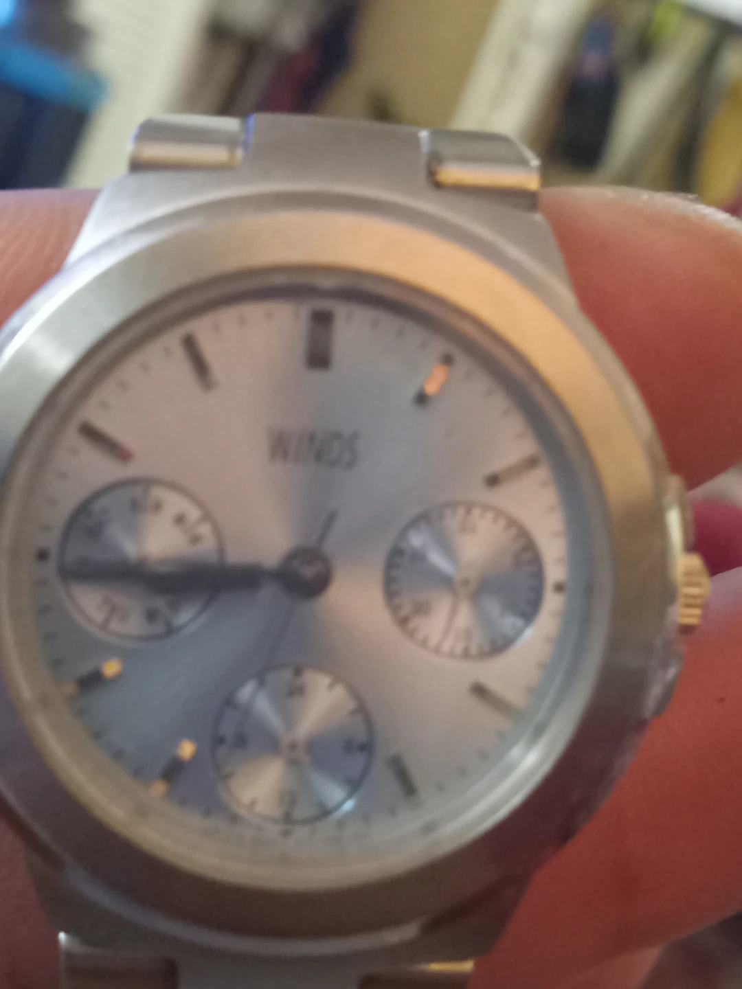 Winds Silver Watch - photo 3