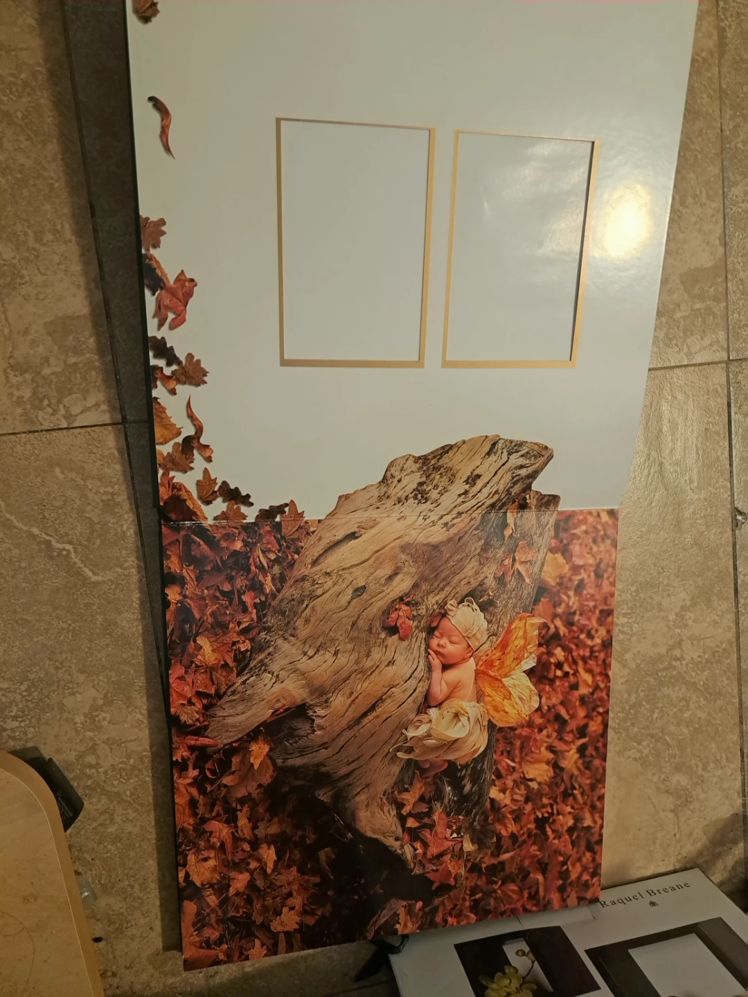 Anne Geddes Photograph Album - photo 4