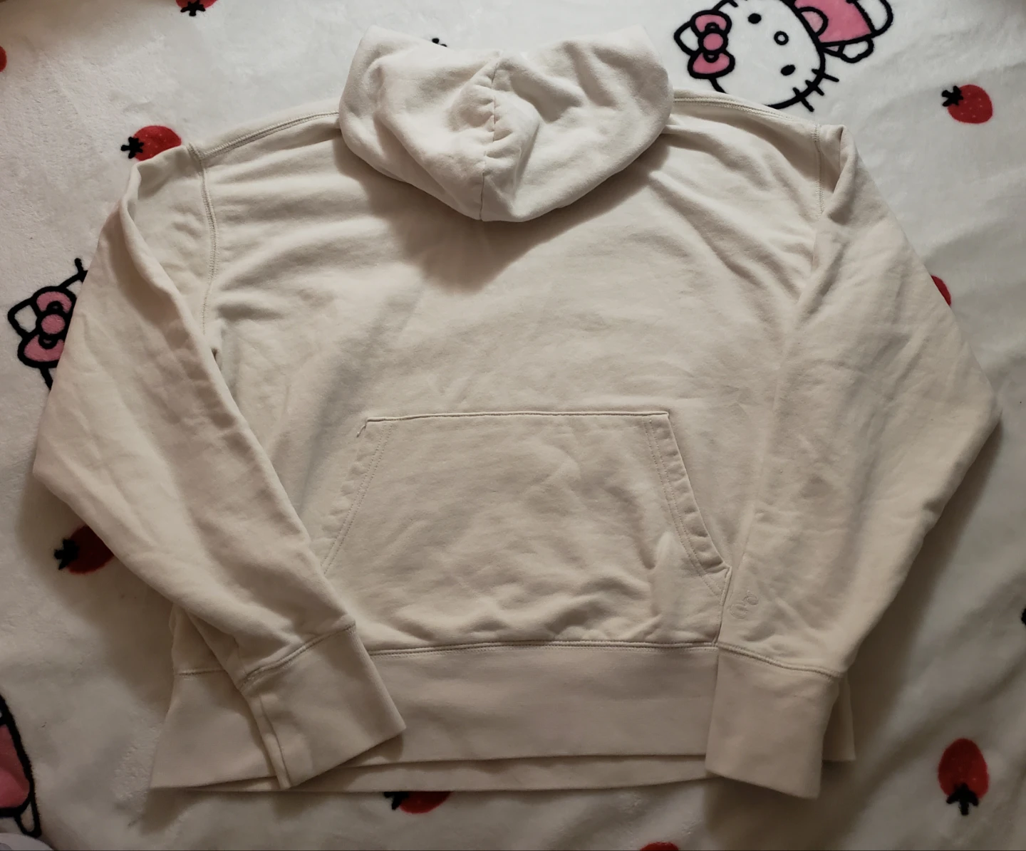 American Eagle Hoodie