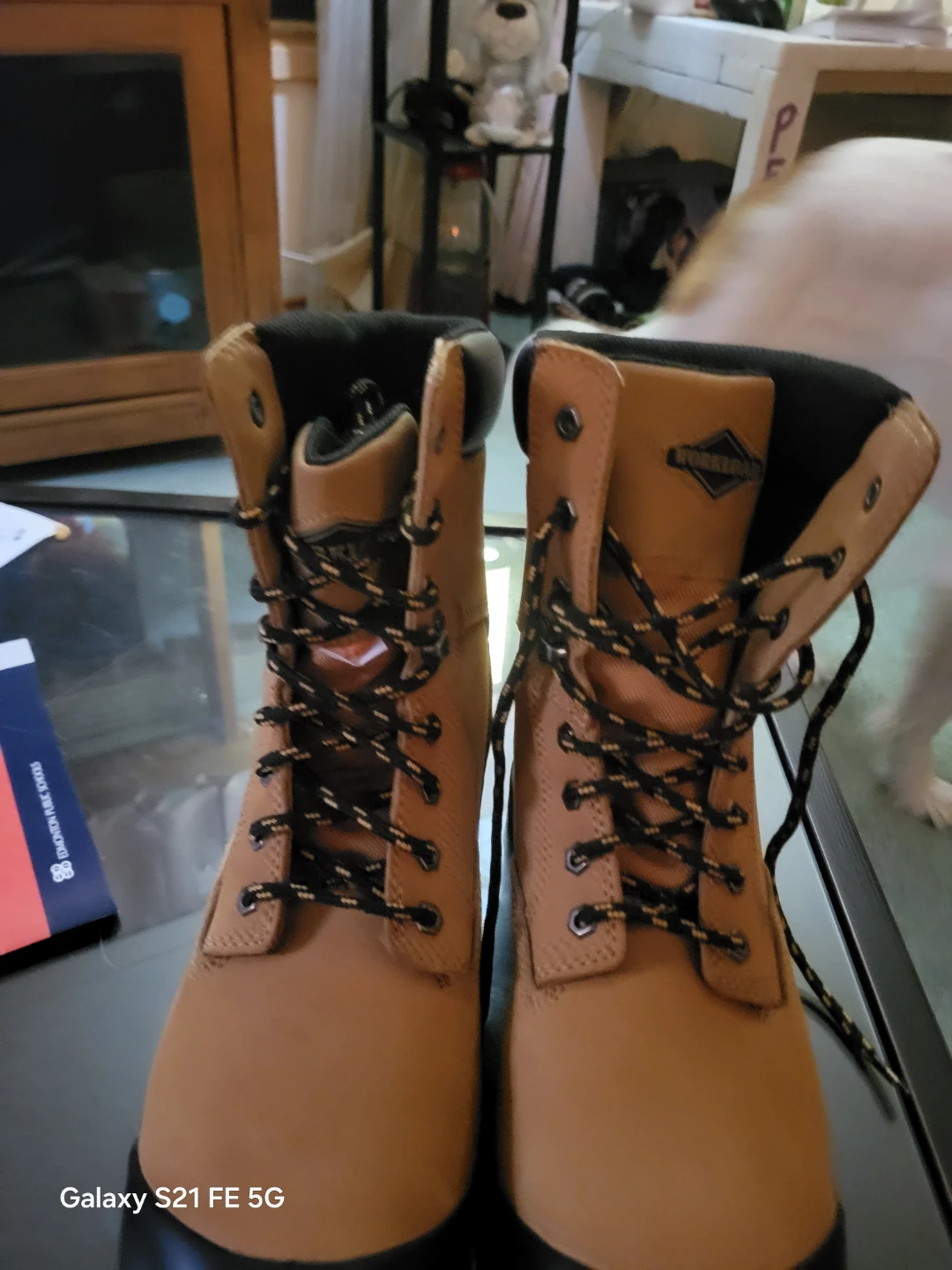 Terra Work Boots - Size 11