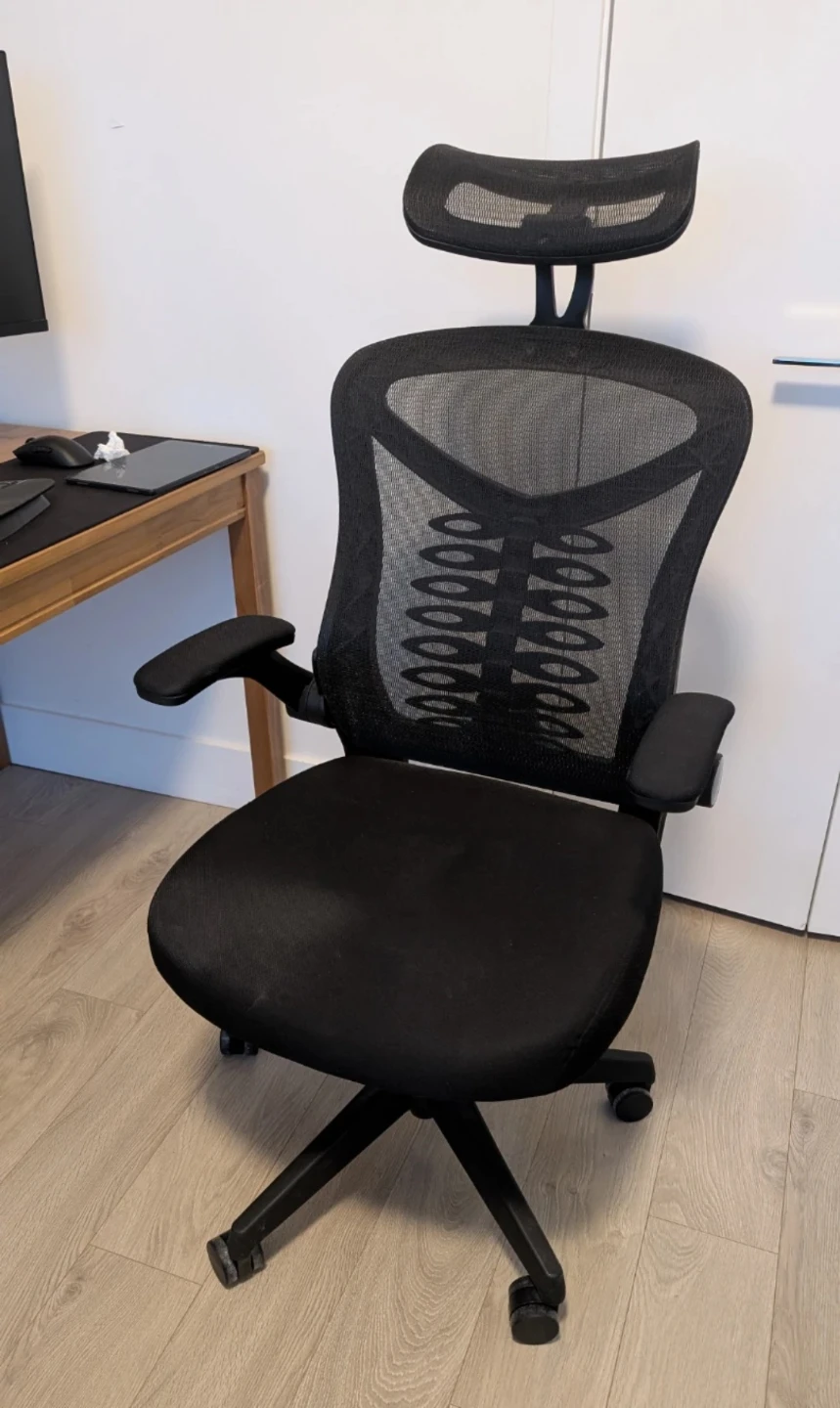 Black Mesh Ergonomic Office Chair with Headrest