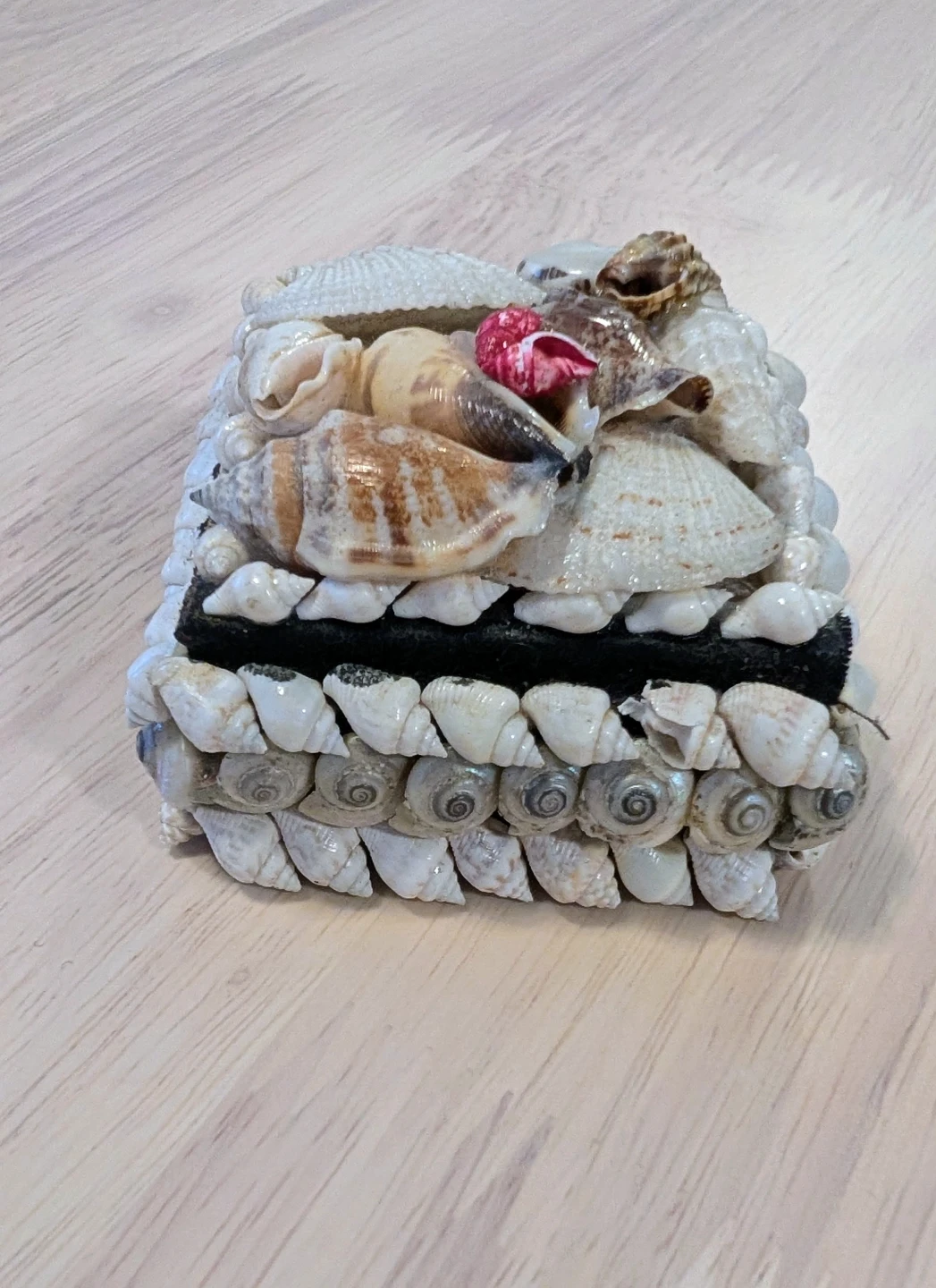Brand New Seashell Decorative Trinket Box