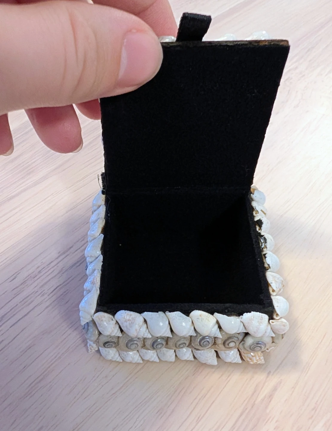 Brand New Seashell Decorative Trinket Box - photo 2