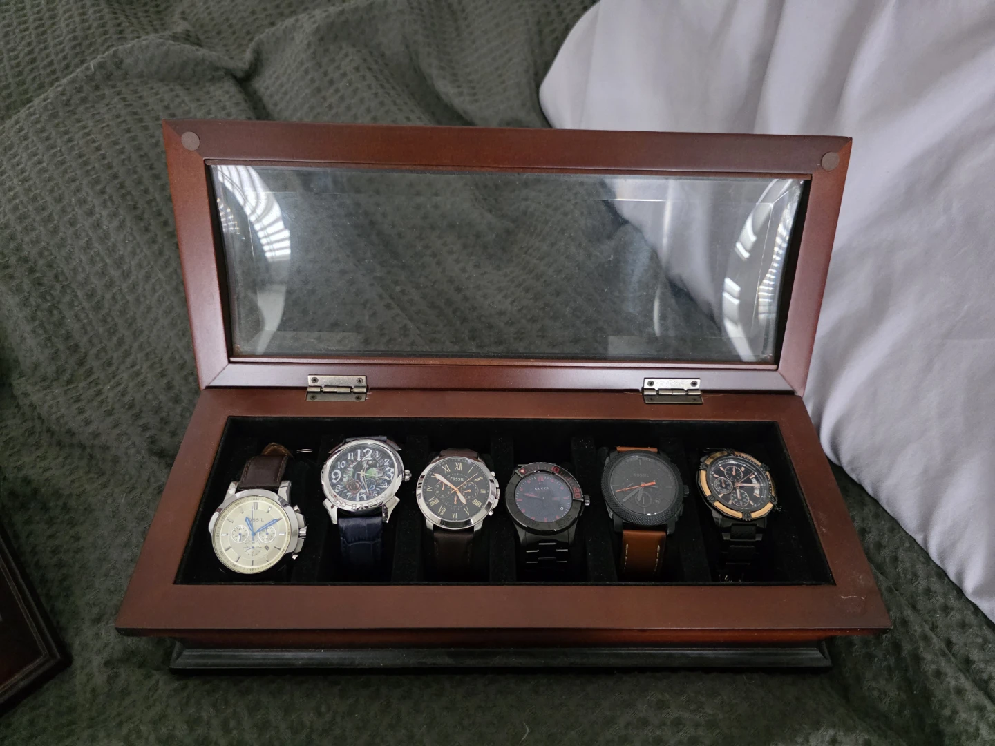 Watch Display Case
