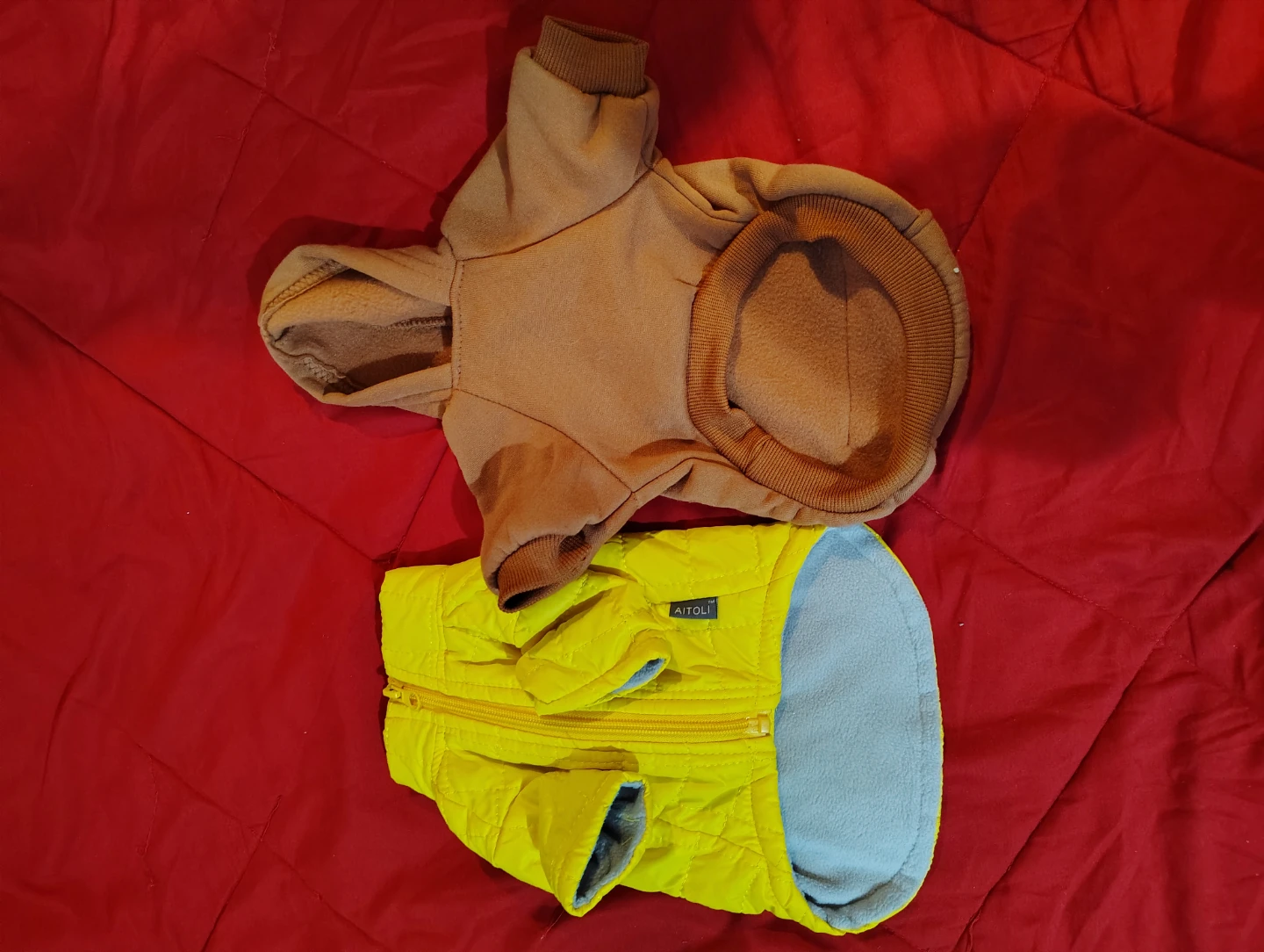 Dog Clothes - size small