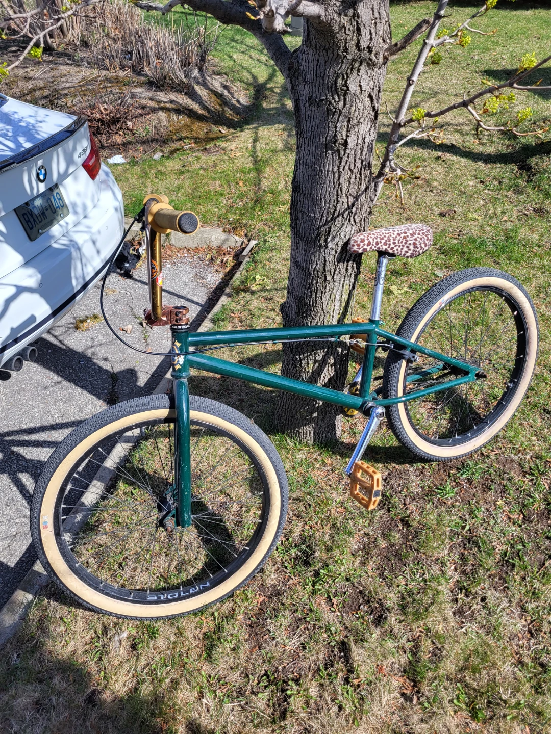Bmx - photo 5