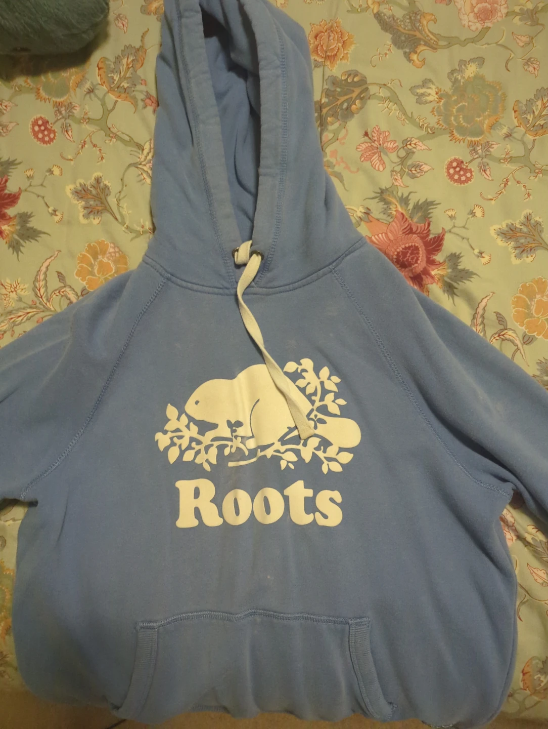 Roots light blue athletics hoodie